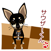 mamepin321*pinscher[Souther.ver]