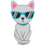 Lovely Alice The Cat
