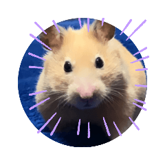 yukari_20210523232853