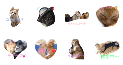 Nyanchan13