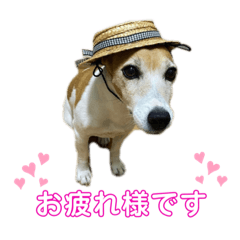 Nanami_20210524003618