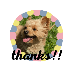 sayuri_20210524014307