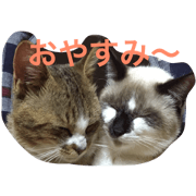 tukaeruneko
