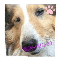 Asuka_20210523152804