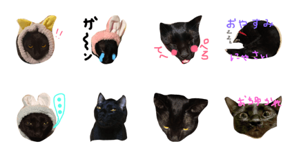 Poko&Maru