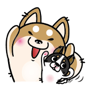 Doggy Bug