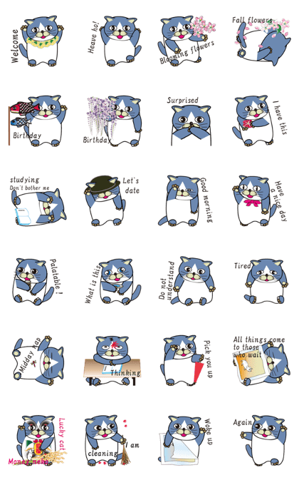 500 cats 7-156e-1
