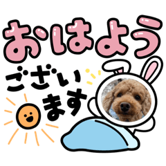 yuka_20210523162807