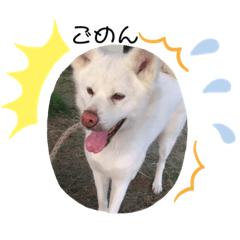 ayumi_20210523165141