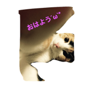 MuGICha