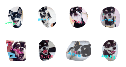 lovedog625