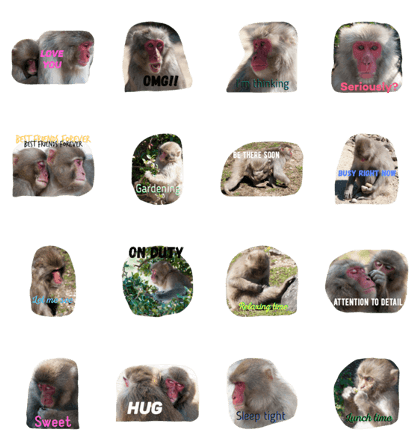 We are Japanese Monkeys