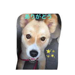 Naho_20210523183129