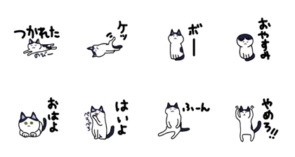 Dull  cat 2-10