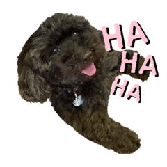 mizuki_20210523185928