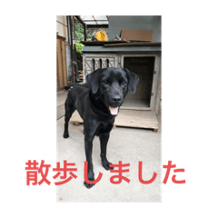 tono_20210523190454