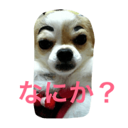 meinostanp