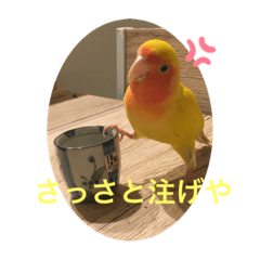 yuto_20210523192702