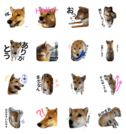 kawaii wanchan
