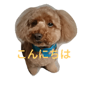 pc.