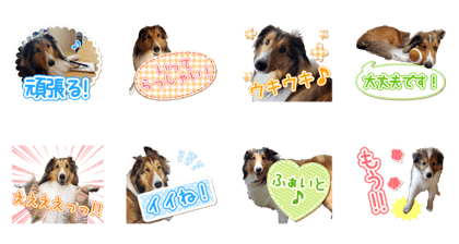 LOVE HARU2