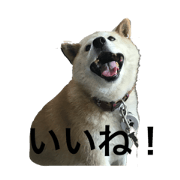 askm