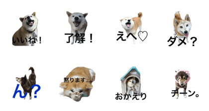 askm