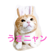 stamp of chiezo