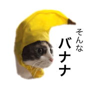 mameume
