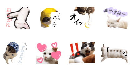 mameume