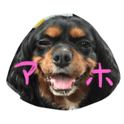 ERURUN