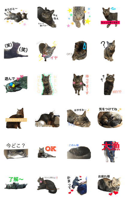 n.nyanta
