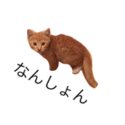 nekojiroo stamp
