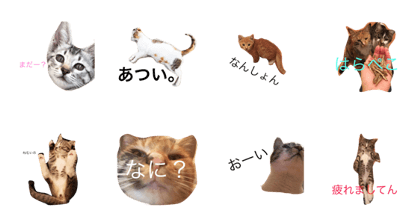 nekojiroo stamp