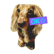 maxstamp