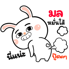 I'm  Mol Rabbit cute Sticker V.1