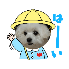 yuka_20210523210621