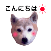uchinomi-tan