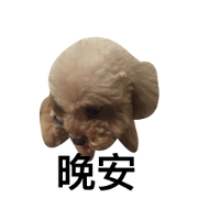 Gidodo