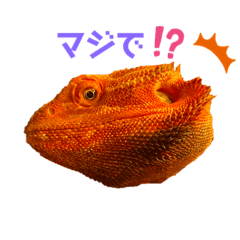 hanapooo_20210523222302