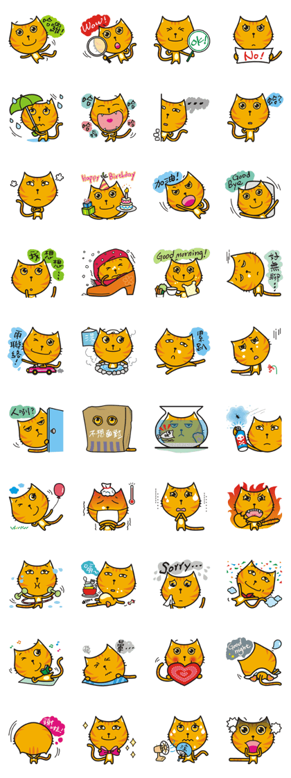 The cute cat is called "cake".