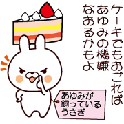 Ayumi's rabbit