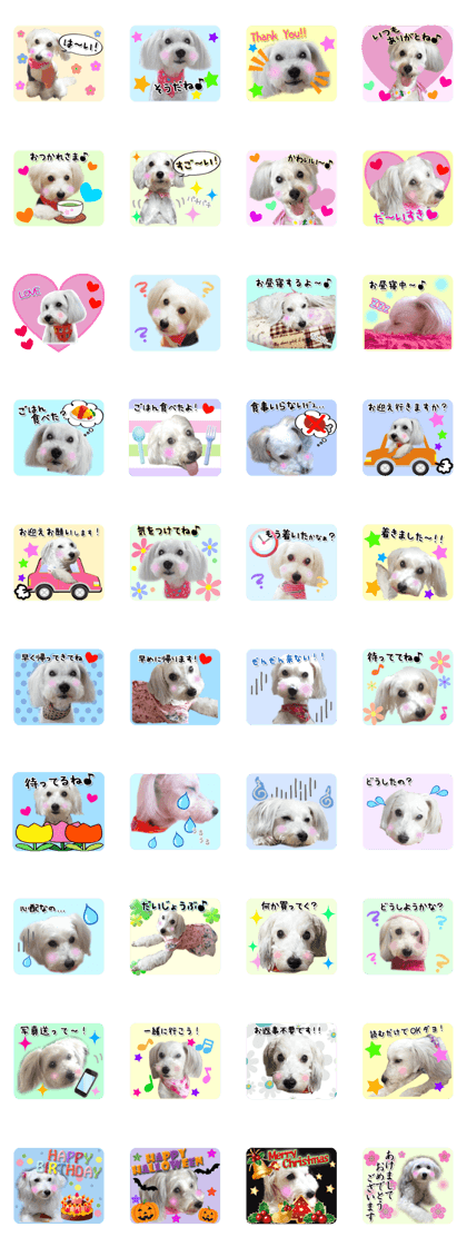 White dog Mint's sticker 2nd bullet!