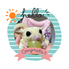 omochi_20210523230215