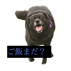 Ataru_20210523230619