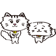 Persian cat sticker