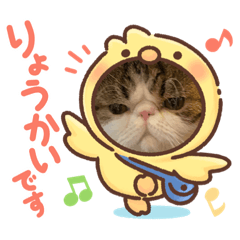 yukari_20210524140154