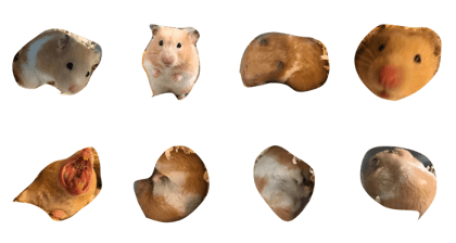 hamhamham