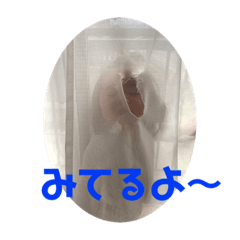 march_20210524130553