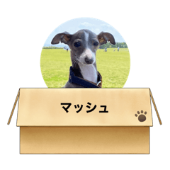 eririn_20210523233735